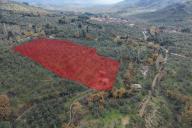 Mera Emlaktan Dereli Köyünde Ev+dam+su+ Mevcut 9.775m2 Zeytinlik Mera Emlaktan Dereli Köyünde Ev+dam+su+ Mevcut 9.775m2 Zeytinlik