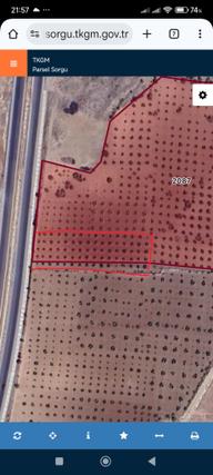 Sahibinden Satılık Anayol Üzeri 3.098 M² Zeytinlik Sahibinden Satılık Anayol Üzeri 3.098 M² Zeytinlik