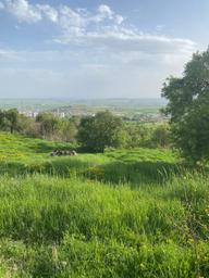Ergani'de Makam Dağı Yol Üzeri Manzaralı İmara Çok Yakın 1000 M2 Satılık Ergani'de Makam Dağı Yol Üzeri Manzaralı İmara Çok Yakın 1000 M2 Satılık