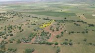 Konya / Akören / Karahüyük Mahallesinde 1.920 M² Müstakil Tapulu Bağ Konya / Akören / Karahüyük Mahallesinde 1.920 M² Müstakil Tapulu Bağ