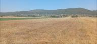 Bodrum Çamarası 5032 M2 Yola Cepheli Tarla Bodrum Çamarası 5032 M2 Yola Cepheli Tarla