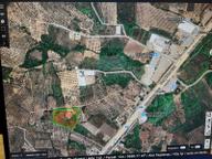 Gemlik Kurtul Yatırımlık 9690 M2 Fırsat Arazi Satılık Gemlik Kurtul Yatırımlık 9690 M2 Fırsat Arazi Satılık