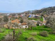 Aydın Dalama Mahallesin'de Satılık 1620 M2 Bahçe Evi Aydın Dalama Mahallesin'de Satılık 1620 M2 Bahçe Evi