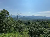 İnanç Emlaktan Giresun Camili Köyünde 4.848 M2 Satılık Fındık Bahçesi İnanç Emlaktan Giresun Camili Köyünde 4.848 M2 Satılık Fındık Bahçesi
