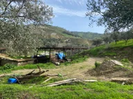 Aydın Dalama Mahallesin'de Satılık 1620 M2 Bahçe Evi Aydın Dalama Mahallesin'de Satılık 1620 M2 Bahçe Evi