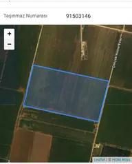 Birinci Sınıf Sulu Arazi