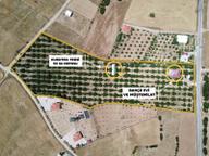 Yeşilyayla'da Satılık 19.759m² Ceviz (chandler) Bahçesi Ve Evi Yeşilyayla'da Satılık 19.759m² Ceviz (chandler) Bahçesi Ve Evi