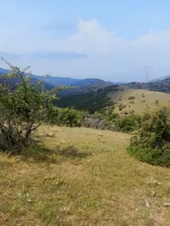 46 Dönüm Yola Sıfır Arazi Güneş Paneline Uygun Kula Konurca 46 Dönüm Yola Sıfır Arazi Güneş Paneline Uygun Kula Konurca