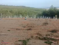 Menderes Çatalca'da Satılık Hisse Tapu Tarla Menderes Çatalca'da Satılık Hisse Tapu Tarla