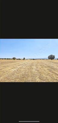 Banaz Susuz Köyünde Uygun 4500m2 Düz Arazi Banaz Susuz Köyünde Uygun 4500m2 Düz Arazi