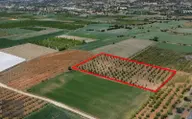 Akçay Mahallesi'nde Elektrik Ve Suyu Olan 7387m² Armut Bahçesi Akçay Mahallesi'nde Elektrik Ve Suyu Olan 7387m² Armut Bahçesi