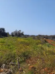 Ayaş Kanlıdivanede Satılık İmar Edilmiş Tarla Ayaş Kanlıdivanede Satılık İmar Edilmiş Tarla