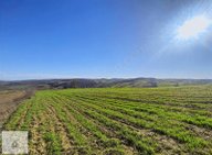 İzmit Kaynarcada 2823m2 Yolu Açık Doğa Manzaralı Tarla İzmit Kaynarcada 2823m2 Yolu Açık Doğa Manzaralı Tarla