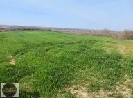 Babaeski Yeniköyde Satılık 2.900 M2 Bağ Tapulu Babaeski Yeniköyde Satılık 2.900 M2 Bağ Tapulu