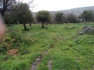 Aliağa Çıtak Mahallesinde İmarlı Arsa Satılıktır Aliağa Çıtak Mahallesinde İmarlı Arsa Satılıktır