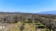 Balıkesir İzmir Yoluna 0 Konumda Satılık Zeytinlik Balıkesir İzmir Yoluna 0 Konumda Satılık Zeytinlik
