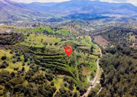 Seferihisar Orhanlıda Yola Cephe 12.850 M² Elektrik Su Hazır Seferihisar Orhanlıda Yola Cephe 12.850 M² Elektrik Su Hazır