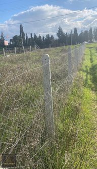 Fenerköyde Satılık 300m2 Hisse Fenerköyde Satılık 300m2 Hisse