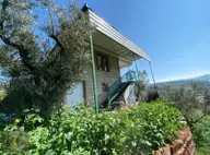 İstanbul-bursa Yolu Üzeri Satılık Bağ Evi Hobi Bahçesi İstanbul-bursa Yolu Üzeri Satılık Bağ Evi Hobi Bahçesi