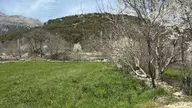 Suyun Cenneti Yeşilbaşköyde Satılık Muhtelif Arsa Suyun Cenneti Yeşilbaşköyde Satılık Muhtelif Arsa