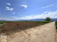 Antika Gayrimenkulden Asfalta Cepheli 2.500 M² Satılık Tarla Antika Gayrimenkulden Asfalta Cepheli 2.500 M² Satılık Tarla