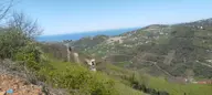 Ortahisar Gündoğdu Mah.de Satılık Süper Manzaralı Fındıklık Arazi Ortahisar Gündoğdu Mah.de Satılık Süper Manzaralı Fındıklık Arazi