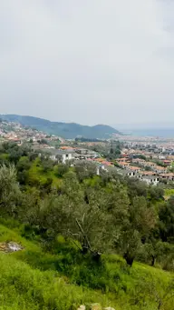 Altınolukta Kapanmaz Full Deniz Manzaralı Zeytinlik Altınolukta Kapanmaz Full Deniz Manzaralı Zeytinlik