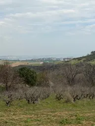 📍 Topağaç’ta 400 M² Altyapılı, Yolu Açık, Değer Kazanan Satılık Arsa! 📍 Topağaç’ta 400 M² Altyapılı, Yolu Açık, Değer Kazanan Satılık Arsa!