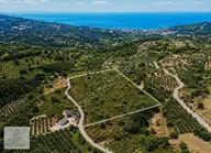 Yalova Armutlu Fıstıklıda Manzaralı 7.185 M² Satılık Tarla Yalova Armutlu Fıstıklıda Manzaralı 7.185 M² Satılık Tarla