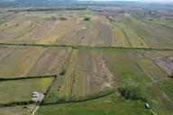 Sahibinden Ferizli Osb Genişleme Kuşağında 5.600 M² Düz Arsa Sahibinden Ferizli Osb Genişleme Kuşağında 5.600 M² Düz Arsa