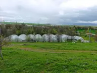 Çorum Merkez Altınbaş Köyünde 8 Adet Satılık Hazır Kurulu Sera