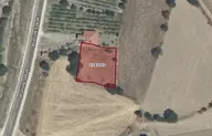 Tokat Turhal Kat Kasabasında Tek Tapu 861 M2 Satılık Bağ