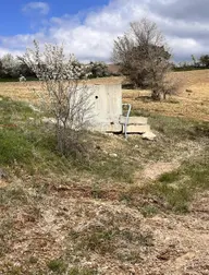 Banaz Halaşlarda 16000m2 180adet 8 Yaşında Cevız Bahçesi Banaz Halaşlarda 16000m2 180adet 8 Yaşında Cevız Bahçesi