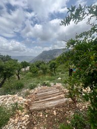 Mersin Silifke Karakaya'da Doğayla İç İçe Yaylalık Müstakil Ev Ve Arsa Mersin Silifke Karakaya'da Doğayla İç İçe Yaylalık Müstakil Ev Ve Arsa