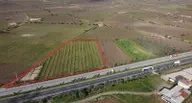 Ankara Asfaltına Cepheli 11180 M2 Zeytinlik Ankara Asfaltına Cepheli 11180 M2 Zeytinlik