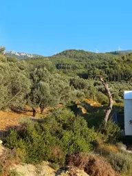 Önü Acık Ferah Kulanışlı Sıfır Kiralık Daire Önü Acık Ferah Kulanışlı Sıfır Kiralık Daire