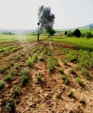 Denizli Acıpayam Akalan 1166 Ada 10 Par 2.072m2 Tarla Denizli Acıpayam Akalan 1166 Ada 10 Par 2.072m2 Tarla