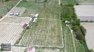 Salih Emlak'tan Sazlıca'da 12.000 M2 Bakımlı Şeftali Bahçesi Salih Emlak'tan Sazlıca'da 12.000 M2 Bakımlı Şeftali Bahçesi