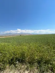 Öz Gaye Emlaktan Develi Sindelhöyük Taşlıyer Mevkinde Satılık Tarla Öz Gaye Emlaktan Develi Sindelhöyük Taşlıyer Mevkinde Satılık Tarla