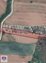 Dialog Yıldız / Başköy Mahallesi'nde Hisseli Satılık Tarla Dialog Yıldız / Başköy Mahallesi'nde Hisseli Satılık Tarla