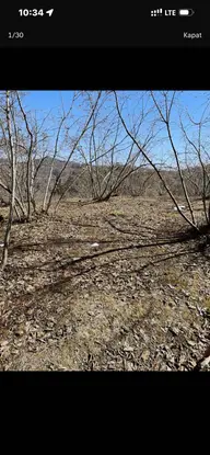 Gokdemir Gayrimenkul'den Satılık Fındık Bahçesi