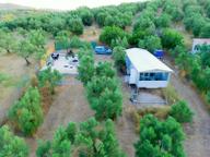 Remax Advantage Mirzaoba Köye 150m, 45m2 Bağ Evi Olan Zeytinlik Remax Advantage Mirzaoba Köye 150m, 45m2 Bağ Evi Olan Zeytinlik