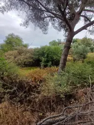 Aydın Merkeze 12 Km Yatırımlık Fırsat Arsa Aydın Merkeze 12 Km Yatırımlık Fırsat Arsa