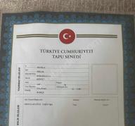 Muğla Milas Sakarkaya Köyü Muğla Milas Sakarkaya Köyü