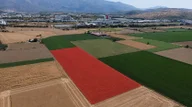 A Plus Gayrimenkulden 16.720 M2 Tire Osb Yakını Verimli Tarla A Plus Gayrimenkulden 16.720 M2 Tire Osb Yakını Verimli Tarla