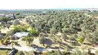 🟥aktiften Taylıelinde 794 M2 Deniz Manzaralı Satılık Zeytinlik 🟥aktiften Taylıelinde 794 M2 Deniz Manzaralı Satılık Zeytinlik