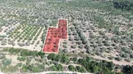 Datça Yaka Kumyerde Satılık 2.090m² Zeytinlik Datça Yaka Kumyerde Satılık 2.090m² Zeytinlik