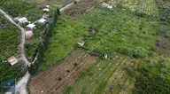 Kemalpaşa'da Yola Cephe 17.870m² Satılık Müstakil Tapulu Bağ Kemalpaşa'da Yola Cephe 17.870m² Satılık Müstakil Tapulu Bağ