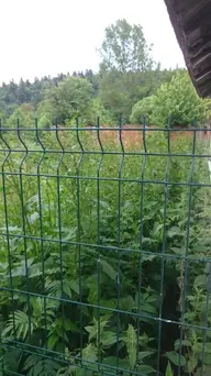 Tımaraktaş Köyünde 3500 M2 Köy Yoluna Sıfır Tarla