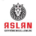 aslan gayrimenkul